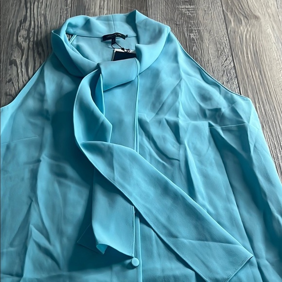 Lafayette 148 New York Blue Button-Up Blouse - Picture 5 of 9